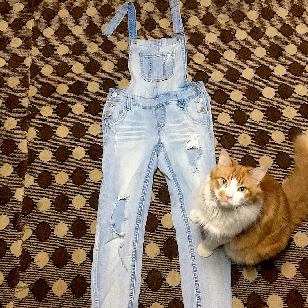 Light washed, destressed, Overalls